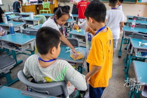 154個(gè)小學(xué)生的暑期托管首日 走進(jìn)校外服務(wù)，體驗(yàn)成長(zhǎng)與快樂(lè)